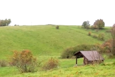 Druhý chlapec ležal v bezvedomí v neďalekom altánku.