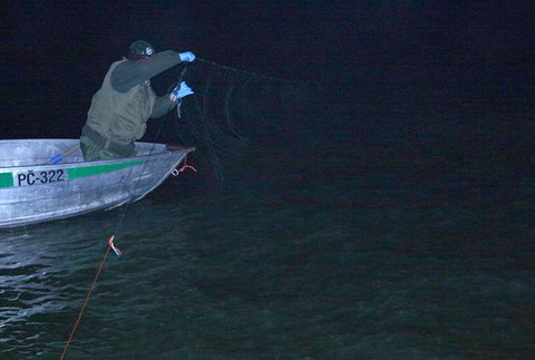 Razia proti pytliakom 5