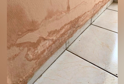 Turisti sa chcú súdiť s cestovnou kanceláriou. Bývali v špinavých a plesnivých hoteloch