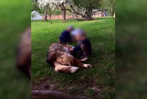 Na prechádzke im zastrelili psa 