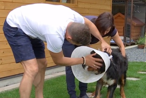 Poľovníka brutálne dobili.