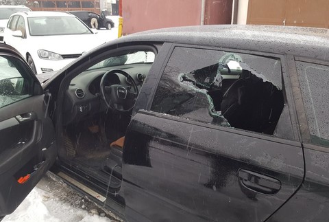 Počas protidrogovej akcie zastrelili policajti v rodinnom dome psa