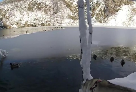 Plitvické jazerá v zime6171