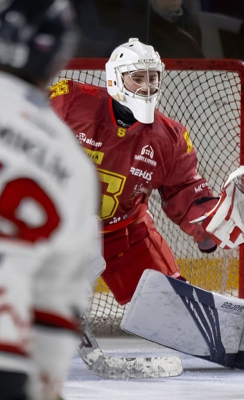 Tipos SHL