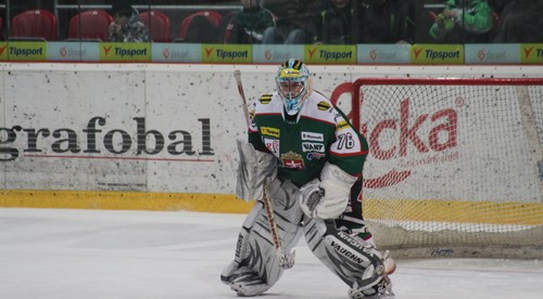 Lipovského shutout s vlkmi