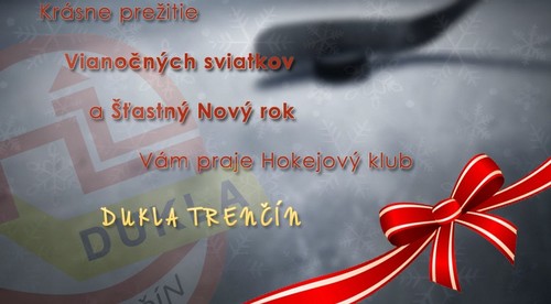 Krásne prežitie Vianočných sviatkov a Šťastný Nový rok !