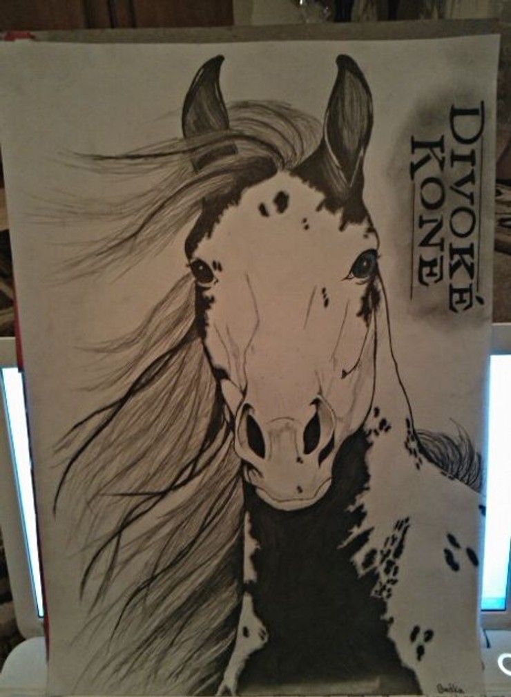 Barbora Lukáčová - atelier, 2. miesto