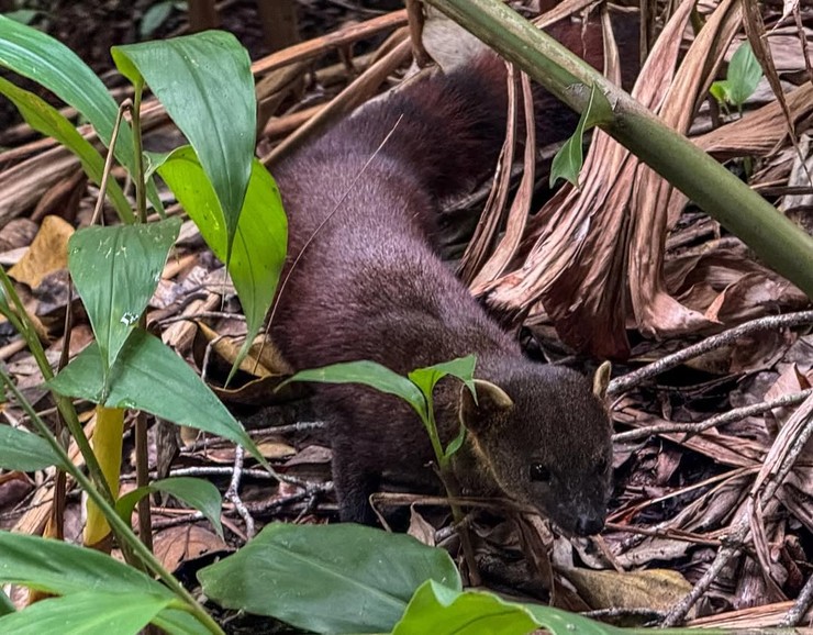 Diana Mórová na Madagaskare (1)