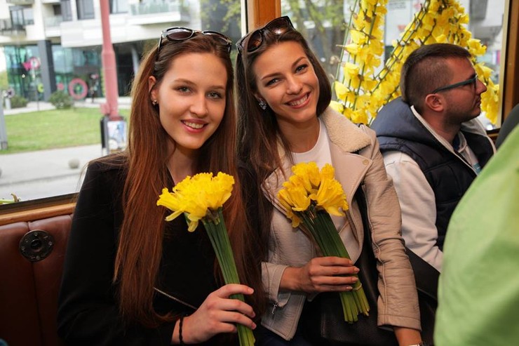 Deň narcisov s finalistkami Miss Slovensko 2016