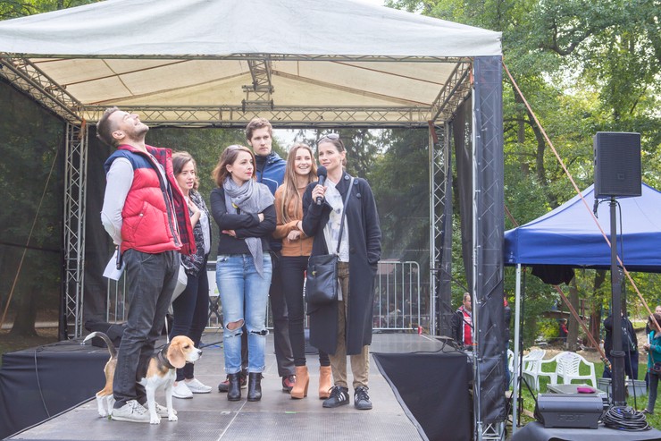 Akcia na pomoc týraným koňom 5