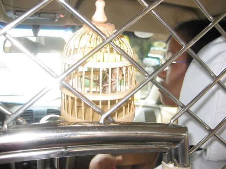 TOP STAR Skoncovej spomienky na Čínu 9