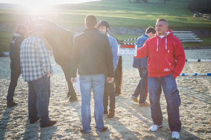 Divoke kone prva klapka