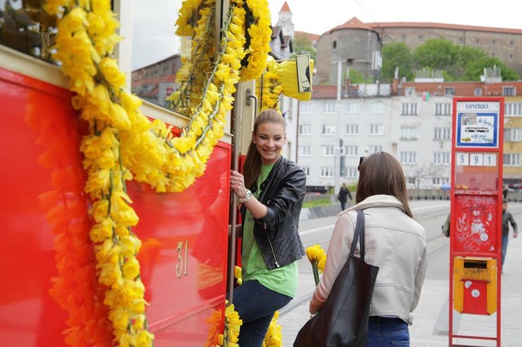 Deň narcisov s finalistkami Miss Slovensko 2016