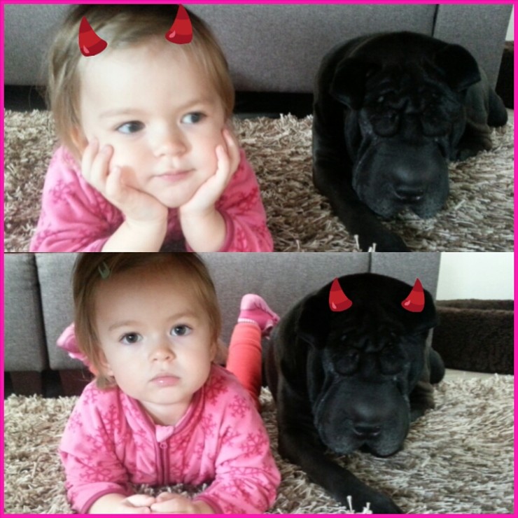 Moji dvaja certici :D