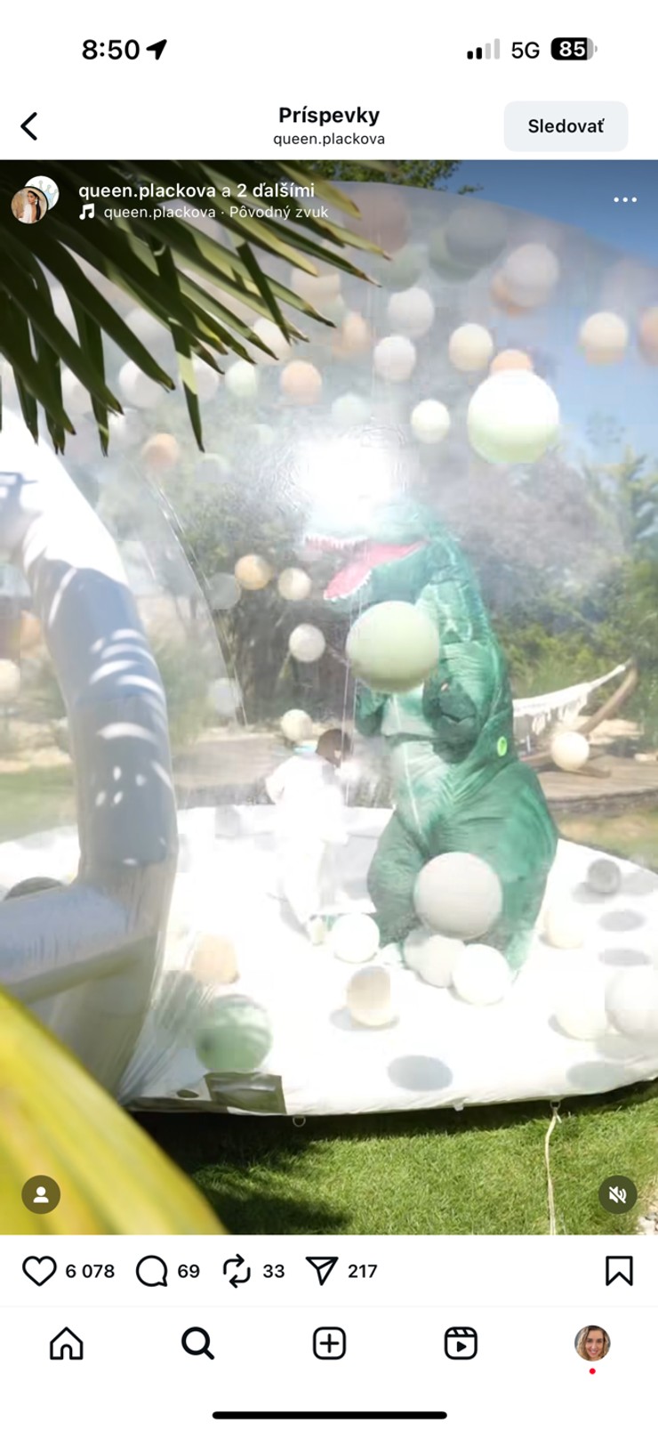 Plačková, syn Dion, narodeninová oslava, luxus, dinosaurus