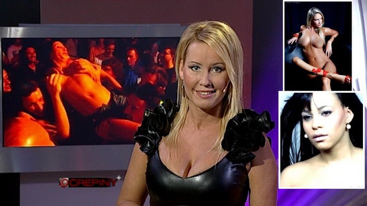 Barkolová Erika koláž speváčka Tina, playmate Andrea Járová