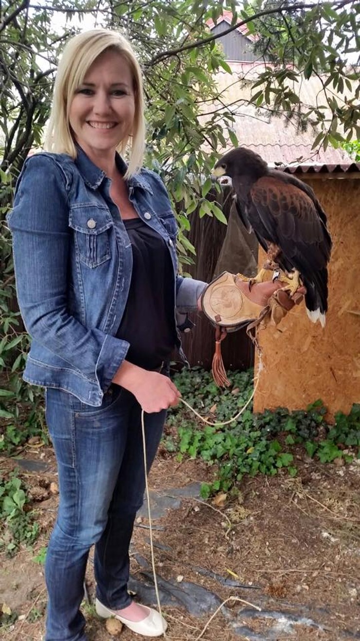 Haasova sokoliarstvo