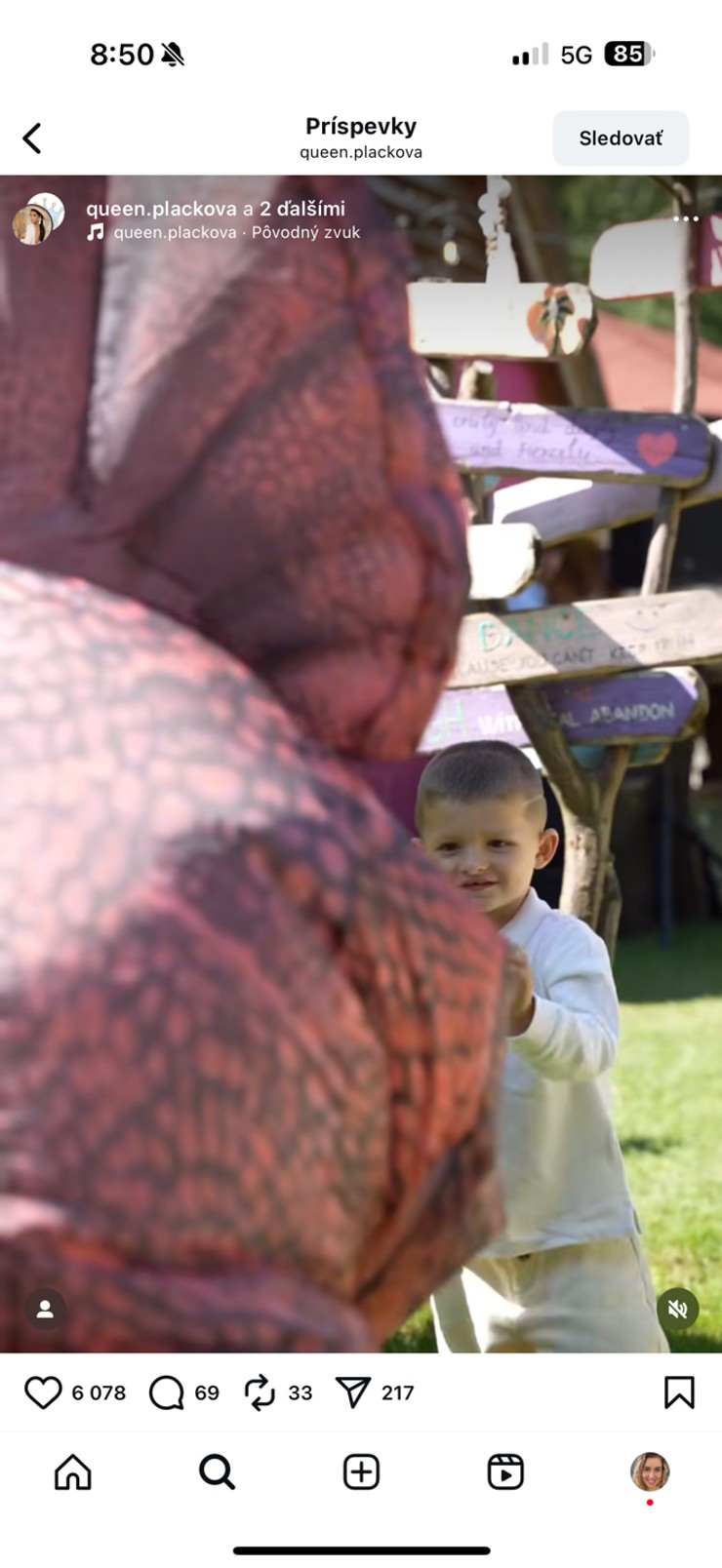 Plačková, syn Dion, narodeninová oslava, luxus, dinosaurus