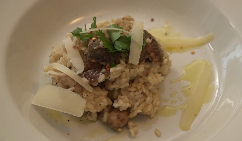 Hlavné jedlo: Hubky dupky