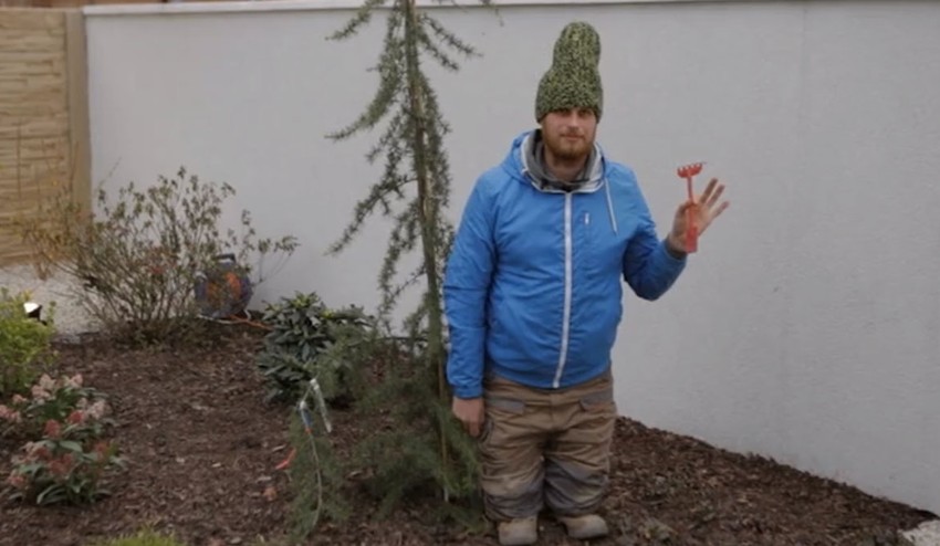 Chlapci z Novej záhrady vám prinášajú výborné tipy! Takto sa zaručene zbavíte škodcov