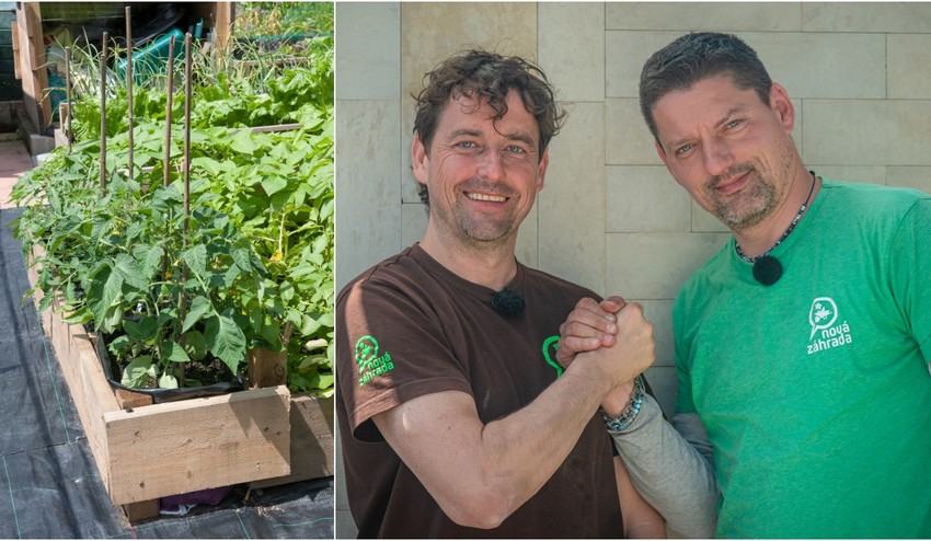 Chystáte sa na výsadbu do vyvýšených záhonov? S TÝMTO tipom budete mať bohatšiu úrodu!