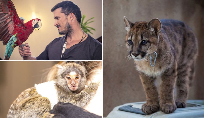 Cirkus Jo–Joo strávi leto na Slovensku: Naživo uvidíte všetky zvieratká zo seriálu ZOO