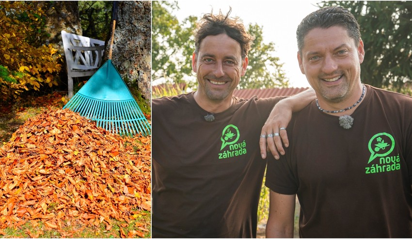 Treba opadané lístie pohrabať alebo ho môžeme nechať tak? Vašej záhrade prospeje TOTO!
