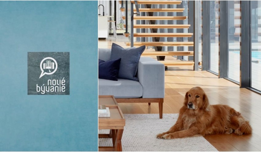 Milovníci ZVIERAT, chystáte sa stavať alebo zariaďovať novostavbu? Na TIETO veci myslite!