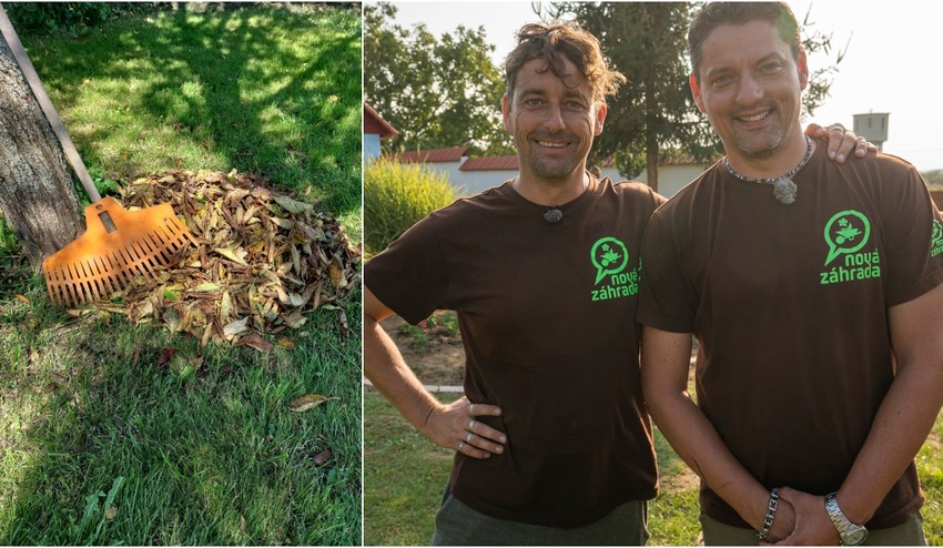 Opadávajú vám v záhrade zo stromov a kríkov listy? Nie je za tým skoršia jeseň, ale TOTO!