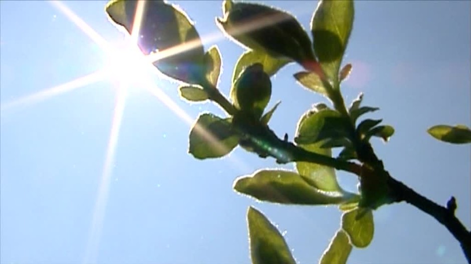 [multi] V rozhorúčenom aute vidíte zamknuté dieťa. Viete ako postupovať? 4321