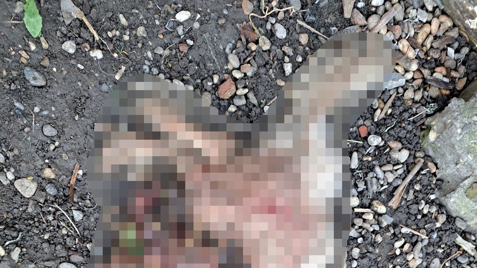 431548448_814492240716346_7304117701834445750_n