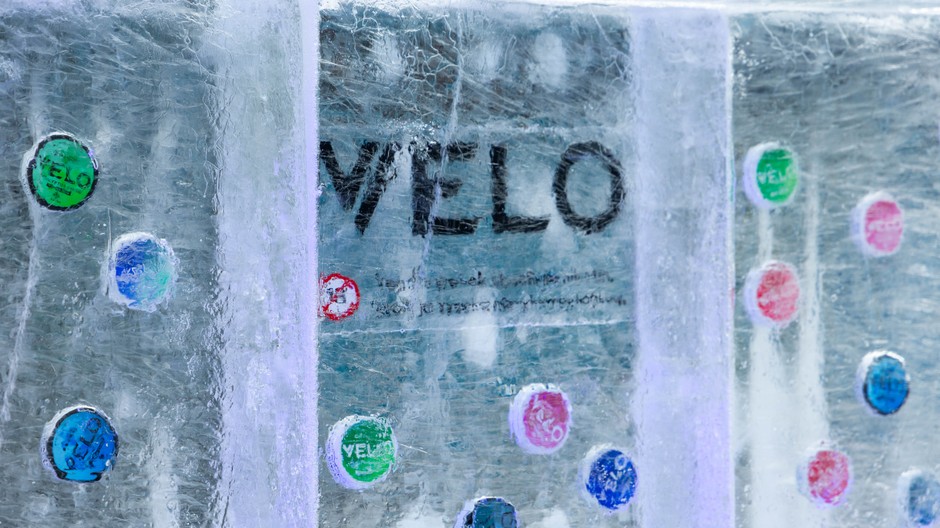 VELO_Zimny Grape 1