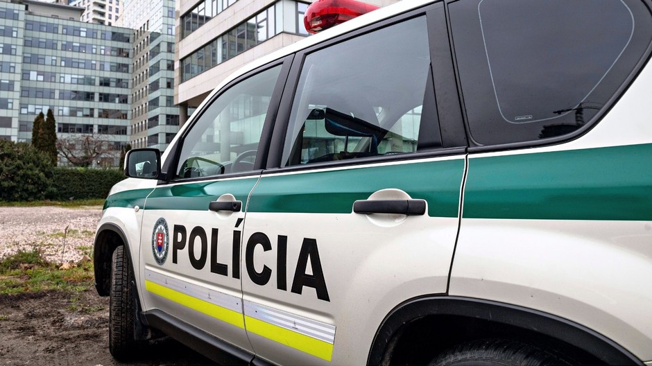 polícia il (4)