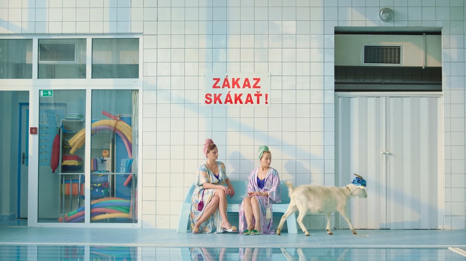 Lidl pr správa