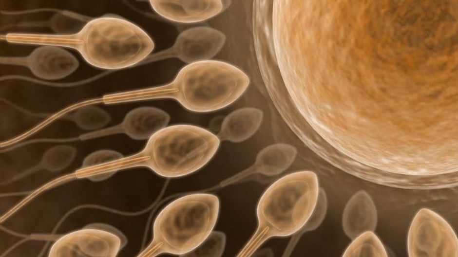 Tehotenstvo Črepiny*