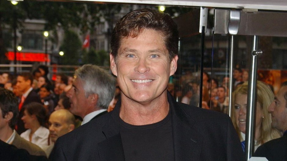 david hasselhoff, usmev