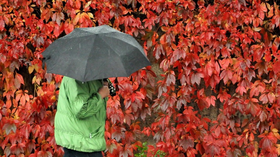 jeseň, dáždnik, človek, zafarbené lístie