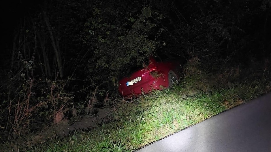 nehoda kríky (cropped)