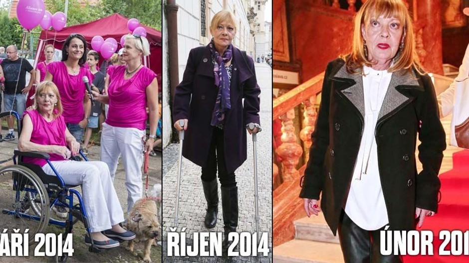 Jana Šulcová hl