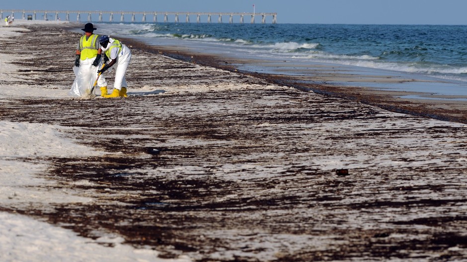 ropna skvrna, ropa, znecistena plaz usa, ludia zbieraju
