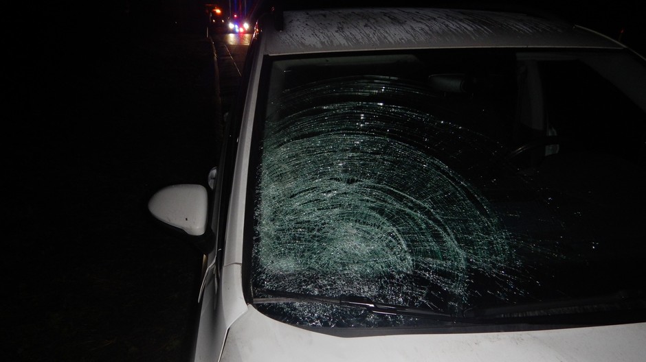 Dievčina neprežila zrážku (cropped)