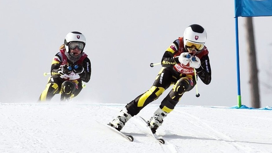 Henrieta Farkašová 