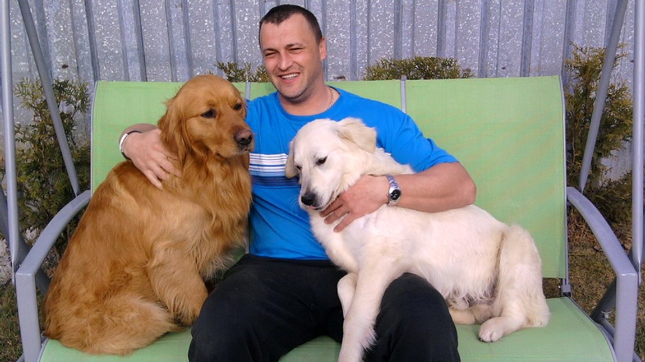 pomoc pri hľadaní zlatých retrieverov