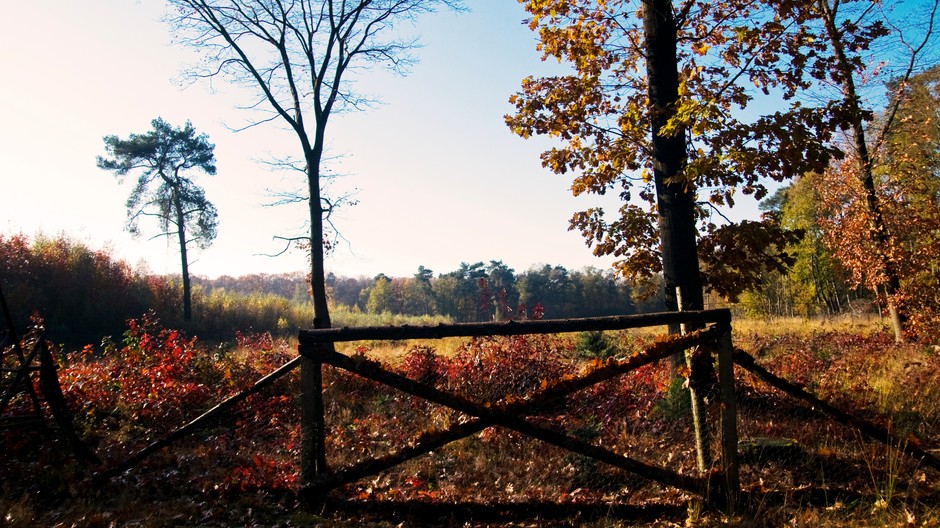 jeseň - slnko, pole, ilsutračné foto