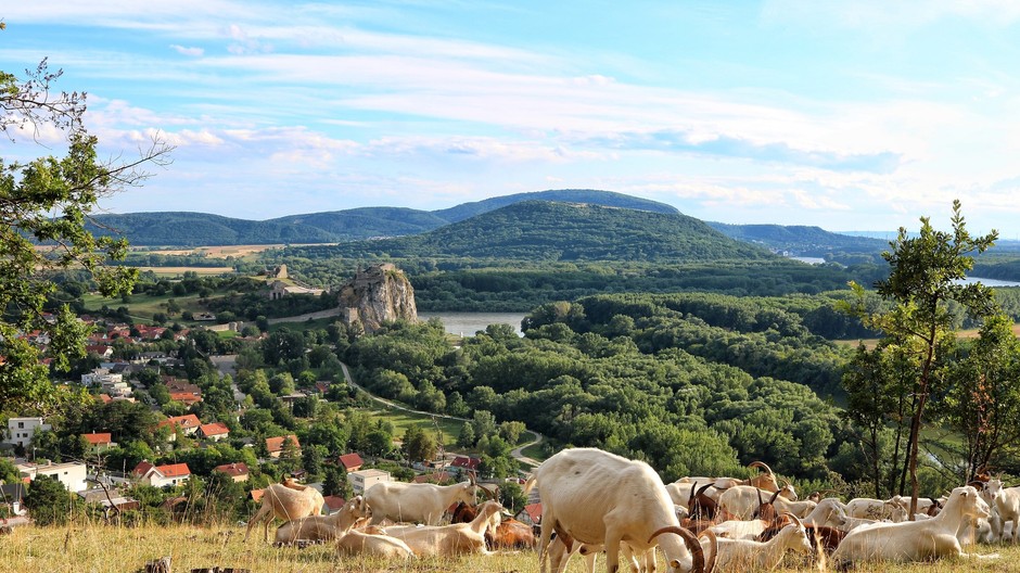 BROZ-lesostepné lúky dm drgoeria pr správa
