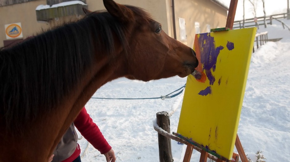 Kobyla Maceba maľuje