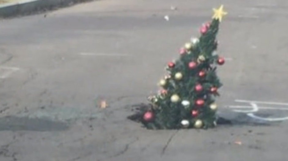 Z výtlku vyrástol stromček