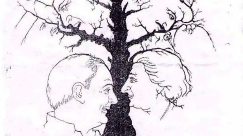 optická hádanka cov