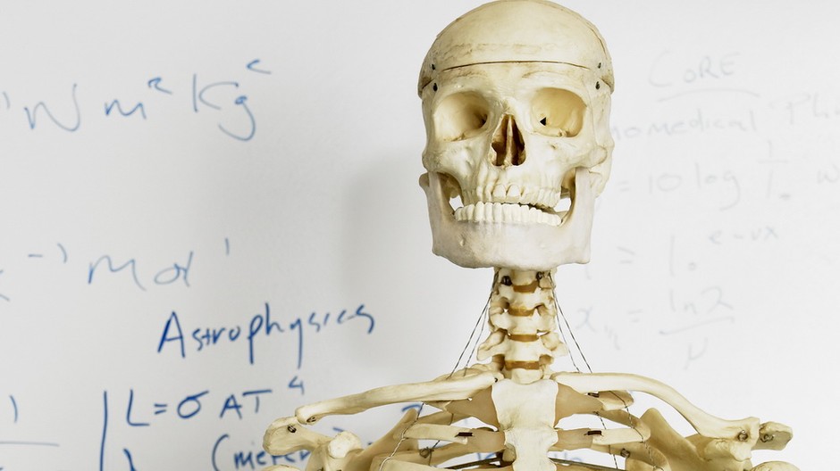 Kostra po plecia, lebka, časť rebier