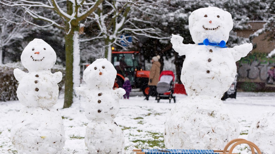 rodinka snehuliakov snehuliak il